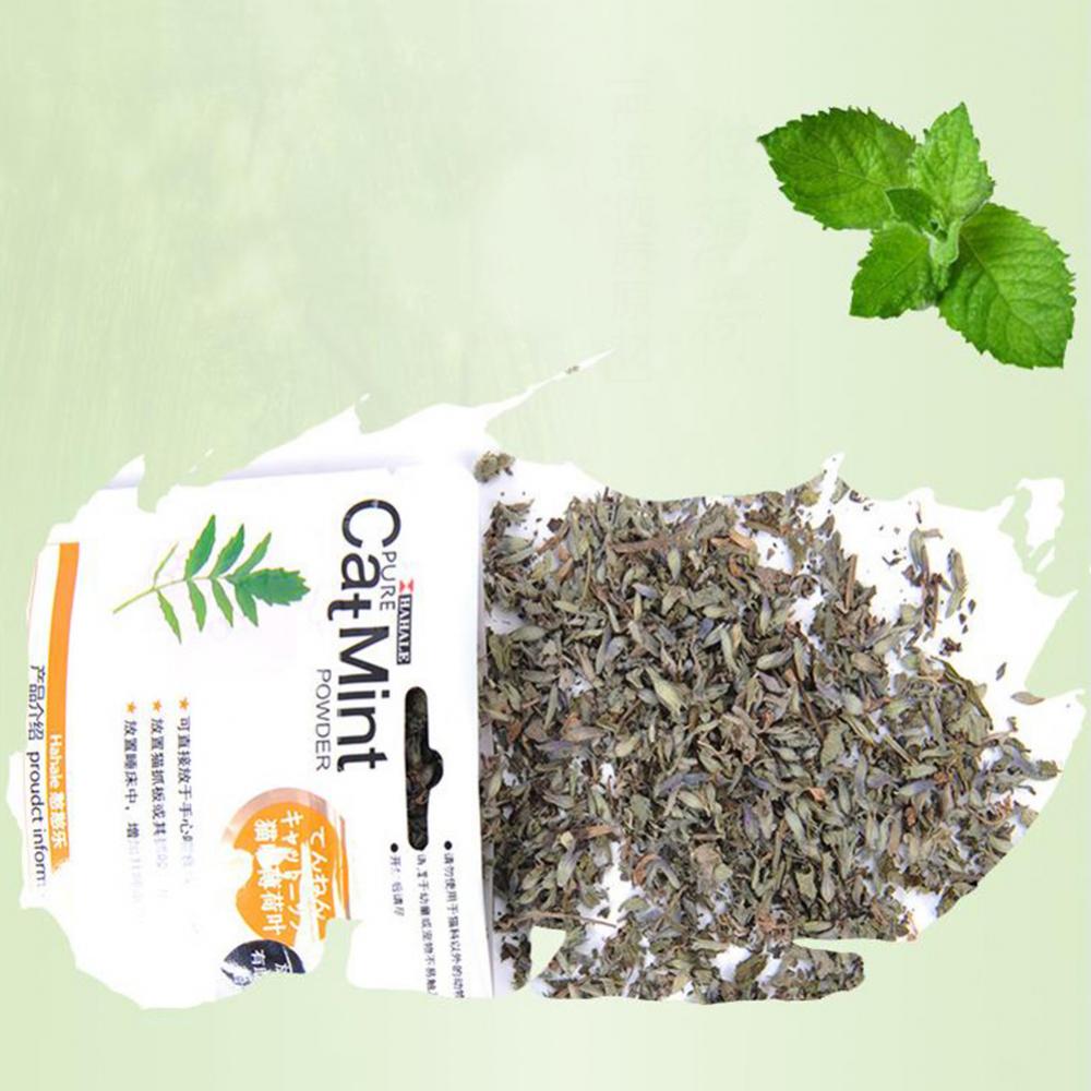 Catnip 5g/gói Cat Mint Powder Natural Pet Kitten Mouth Cleaning Flavor Treats