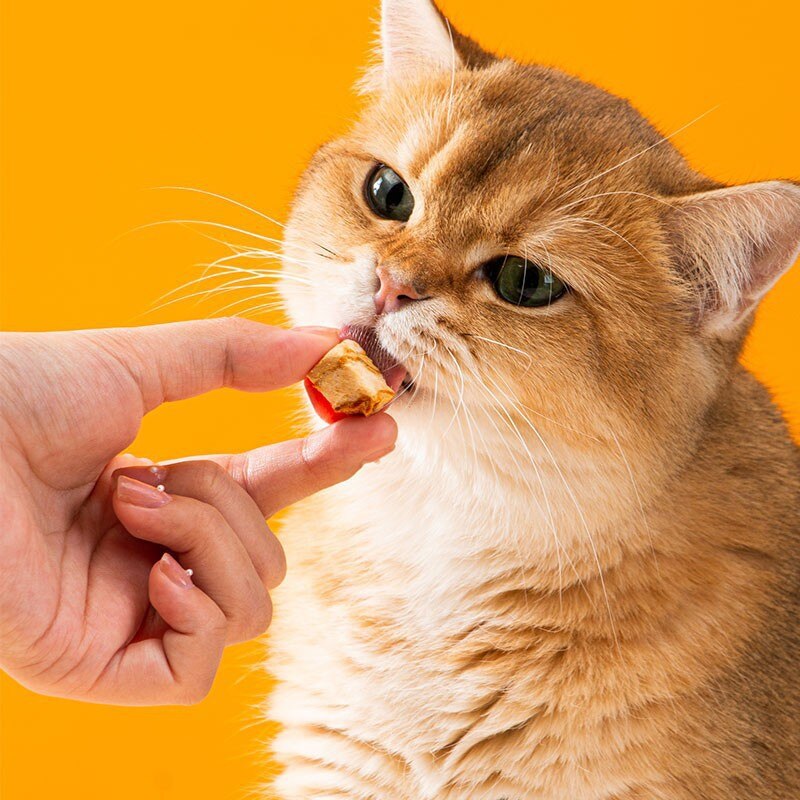 Đồ ăn vặt, hột gà đông khô, ức gà cưng, trứng cút, cá vàng, thức ăn khô cho mèo con, chó con và mèo