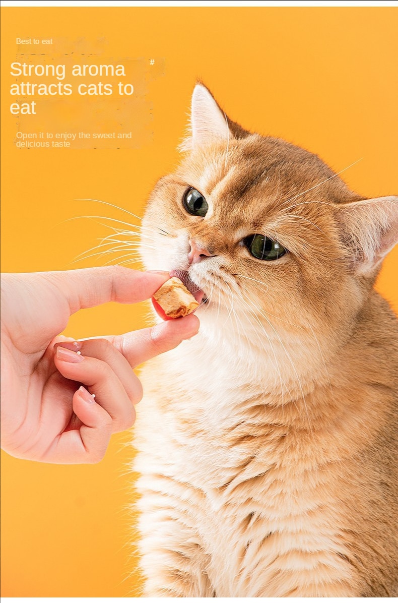 Đồ ăn vặt, hột gà đông khô, ức gà cưng, trứng cút, cá vàng, thức ăn khô cho mèo con, chó con và mèo - Ảnh 7