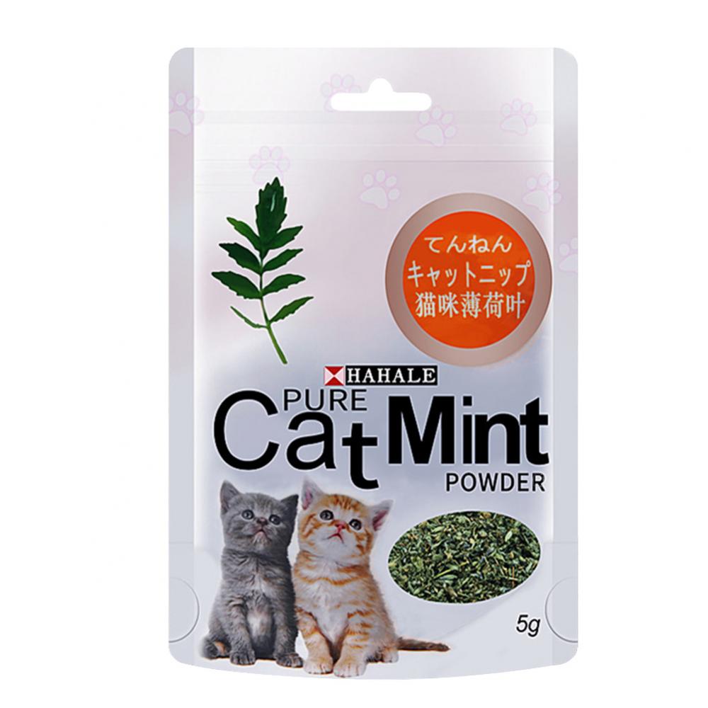 캣닢 5g/팩 고양이 박하 분말 천연 애완 동물 새끼 고양이 입 청소 맛 간식 - imaget 8