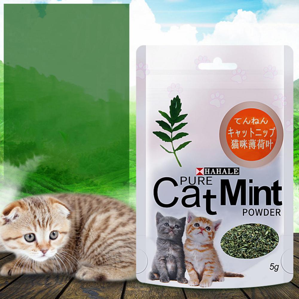 캣닢 5g/팩 고양이 박하 분말 천연 애완 동물 새끼 고양이 입 청소 맛 간식