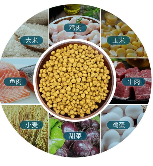 캣푸드 1.5kg 펫푸드 캣푸드 캣푸드 인 캣 새끼 고양이 American Short Short Blue Cat General - imaget 7