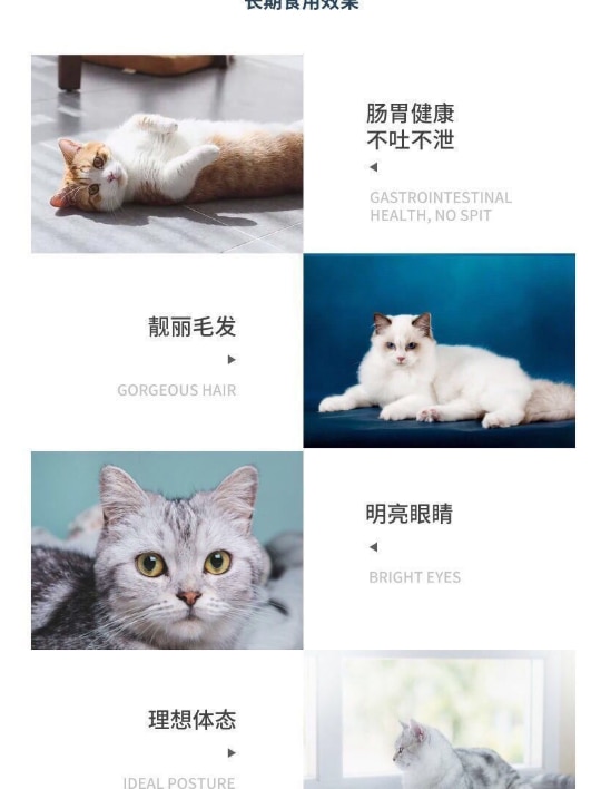 캣푸드 1.5kg 펫푸드 캣푸드 캣푸드 인 캣 새끼 고양이 American Short Short Blue Cat General - imaget 4