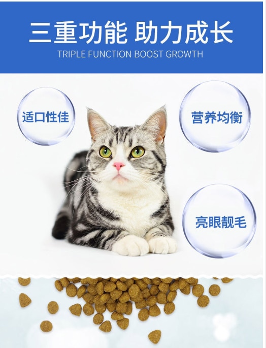 캣푸드 1.5kg 펫푸드 캣푸드 캣푸드 인 캣 새끼 고양이 American Short Short Blue Cat General - imaget 3