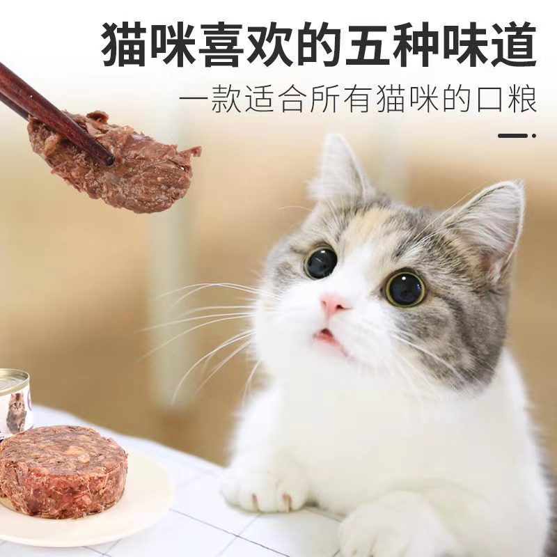 해산물 참치 통조림 고양이 고양이 살찌고 큰 고기 조각 고양이 음식 통조림 170g 고양이 간식 - imaget 12